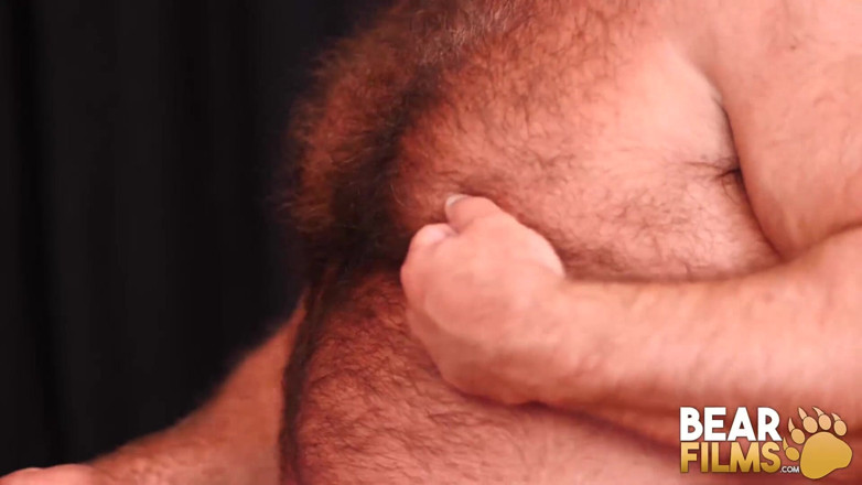 Bear Films: BEARFILMS - Bear Brad Kalvo raw Breeds Hairy gay Ronan Delaney