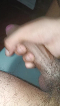 Polla Negra Grande