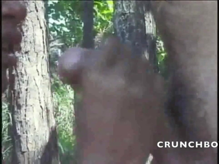 Shemale videos: Shemale ebano matura scopata da dritto all'aperto
