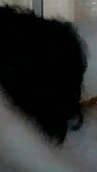 My Little Slut Blowjob