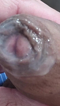 Mi Pene Mojado De Semen