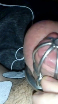 Hübsche sissy Sadie im käfig, e-stim-orgasmus