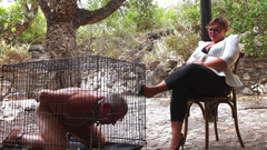 Mistress April: Caged - Kroniky života u jejích nohou