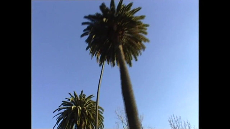 MMV Films and Clips XXX: 痴女パレード5