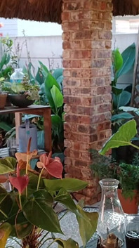 Istri tetanggaku lagi asik masturbasi di teras rumah
