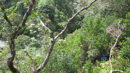 ATK Fans (Girlfriends): Virtual vacation in Hawaii with Holly Hendrix part 5