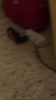 She started sucking cock in front of me and I was getting all wet