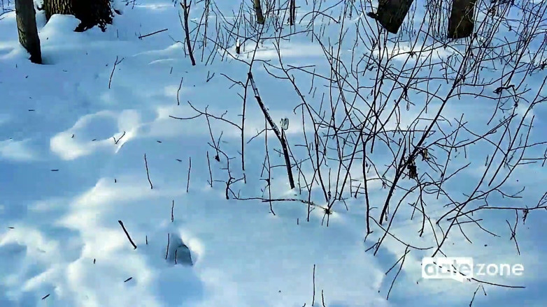 Datezone: Pipe amateur en plein air l'hiver dernier