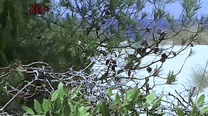 Viewer cam by Sextermedia: Pelacur pantai beata lagi sendirian di bukit pasir