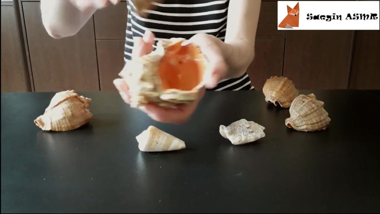Saegin: 1[ASMR] bergesel bersama dan menggaru seashells (tiada bercakap)