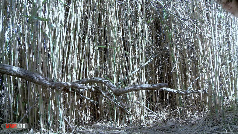 MMM100 Fuck Buddies: Lyne Mary: Hezká malá francouzská Metis ošukaná v reedsu