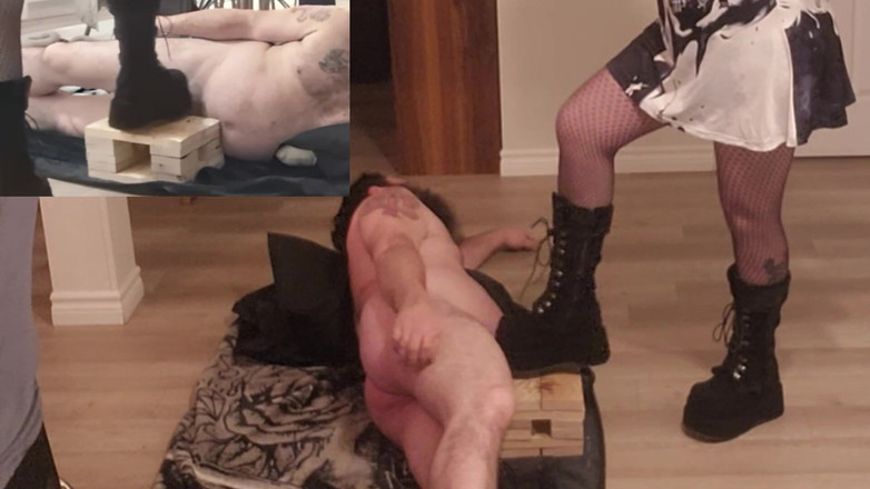 Miss jj chose: Знесення з ведмедем