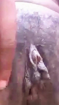 Outside Masturbation Almost Caught