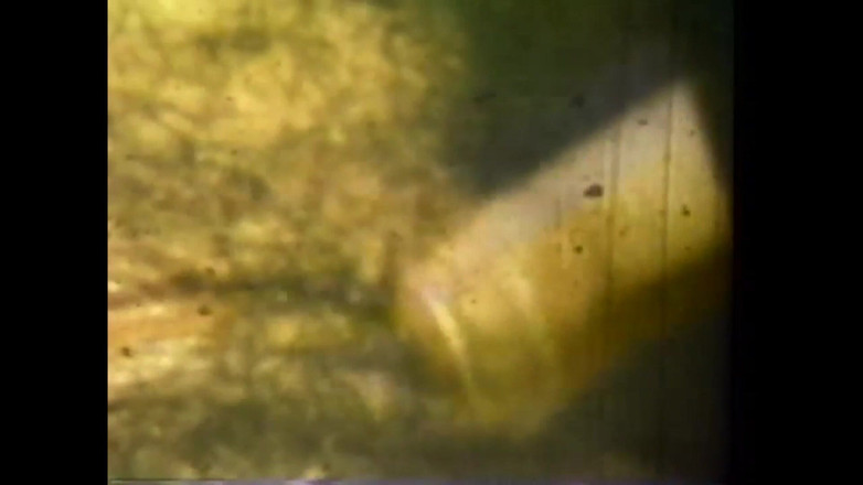 The Unforgettable: Çılgın masturabada