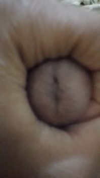 Vid_20250514_193914