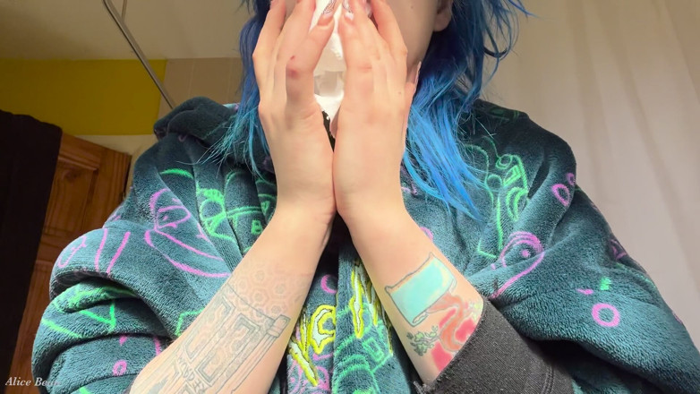Alice Bean: Hayfever Honks