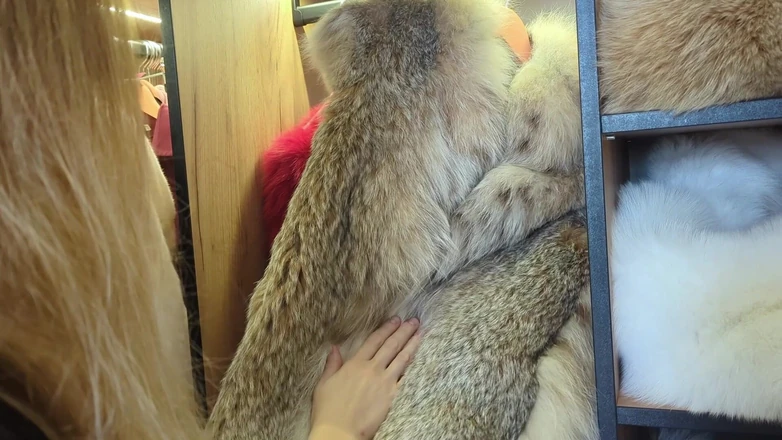 Ruda Cat: Choosing the Best Fur Coat
