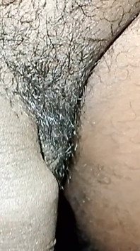 My Cock