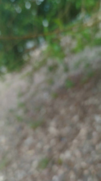 Naked at the River