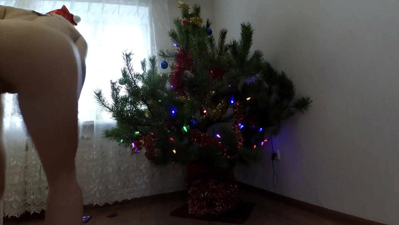 SexyFairyTale: Minha bunda está perto da árvore de Natal!!!