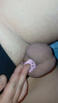 Maricas Clitty Chastity - pau pequeno Alicia Smallz