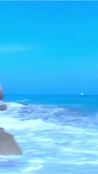 Sexy Video