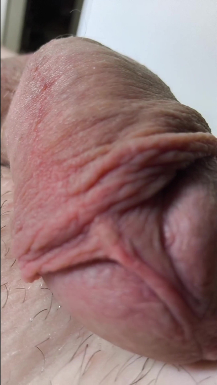 Carmen_Nylonjunge: 镜头飞越毛熊的腹部