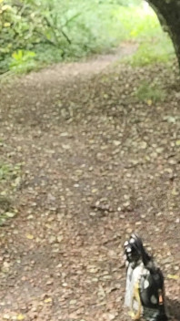4-ben utställning i skogen, Liten retas på jakt efter kukar. Spermaslut P U B L I C [27jun25] Fransk transvestit