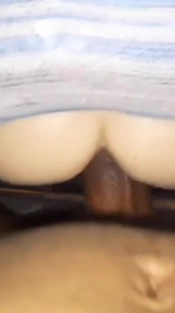 Papà vuole romperti alla pecorina come questo giocattolo