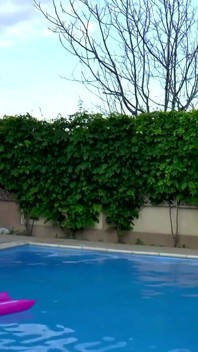 Outdoor DP Threesome Wild Fuck Fest