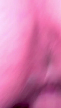Fat Ass White Girl with a Fat Pussy Gets Creampied