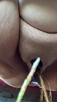 Muste Pissing