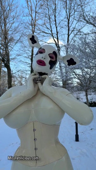 Snow Cow
