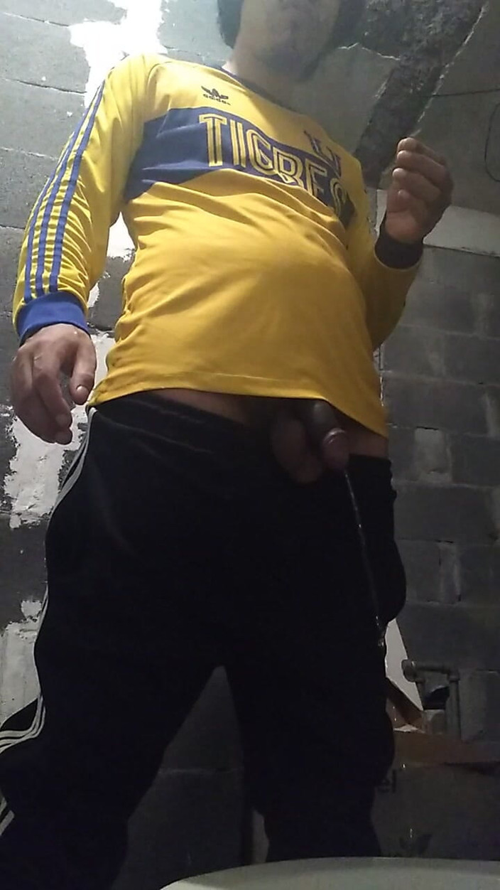 AlexAlejandro13: Eine Meada in der toilette
