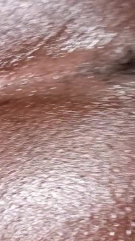 Nieobrzezone porno