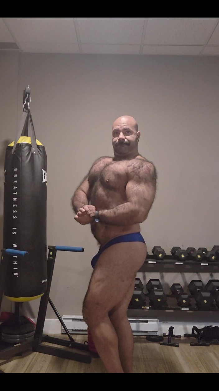 Lobo: Muscular
