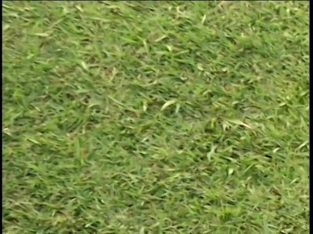 First Black Sexperience: Pelacur atletis disetubuhi oleh pelatih kulit hitam di lapangan sepak...