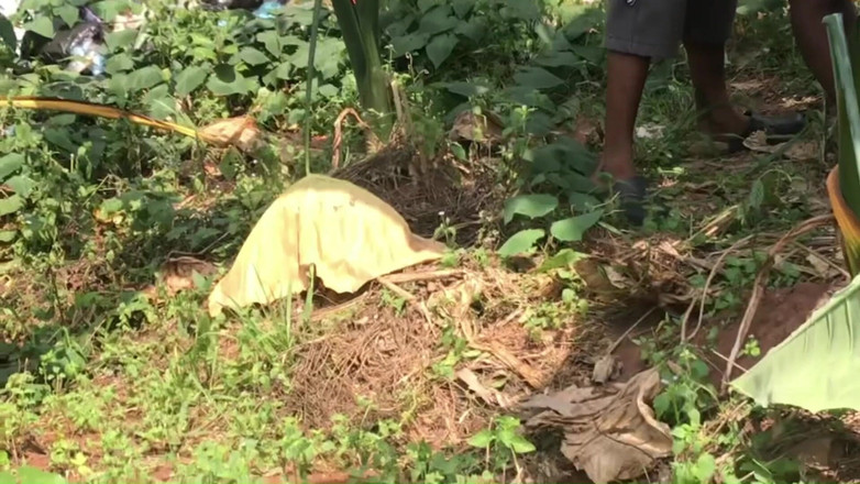 Amateur Teen Studio: Video terbaik di Blackwood (2025)