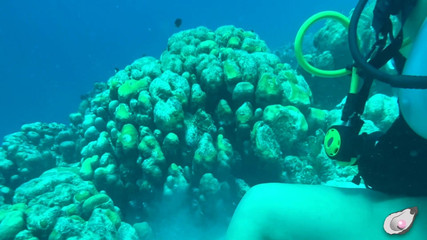 Mistress Pink Pearl: O samotě v Bonaire