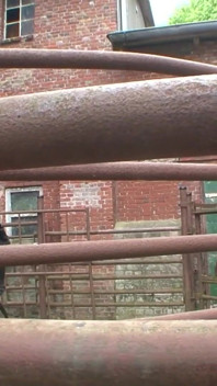 Hardcore BDSM at the farm