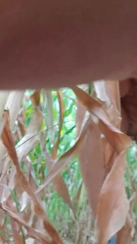 Nude Run with Squirt in Cornfield