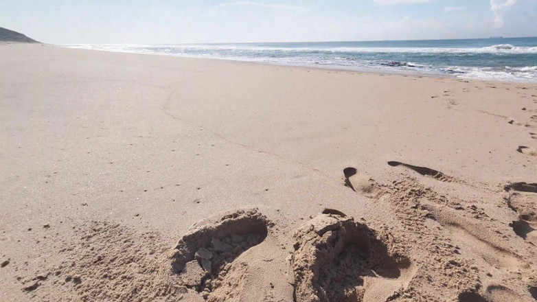 Black Swan: Mattina a Piedi Nudi E Sogno Sul Mare