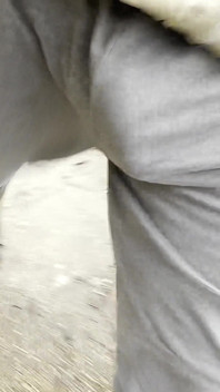 我穿着我的新c*ckring在步行时被突击队