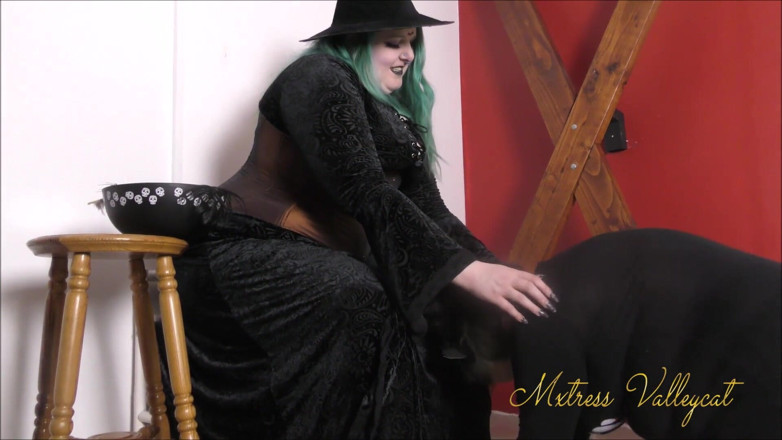 Mxtress Valleycat: Shes my familiar now