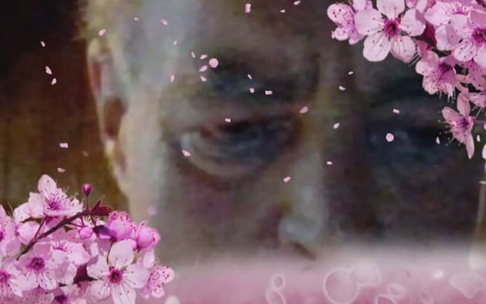 Who fucks my permanently horny anal cunt: Papa's gezicht