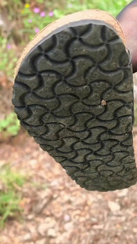 Birkenstock & Nylons Outdoor