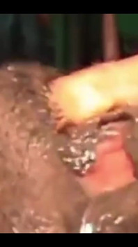 My Juicy Wet Pussy