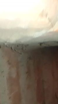 My Real Viral Video