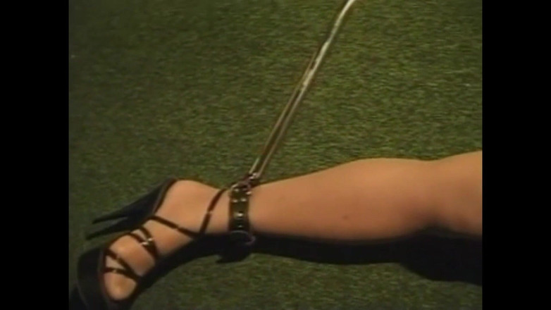 Vintage megastore: सुअर उत्तेजक