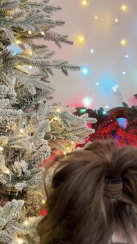 Stygg transälva på North Hole leksaksfabrik får hjälp att testa de stora dildosna från Santa Fresh